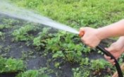 Sound effects of watering the garden
