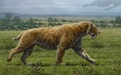 Sounds of a saber-toothed tiger (smilodon)