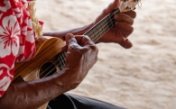 Hawaiian Guitar Sounds (Ukulele)